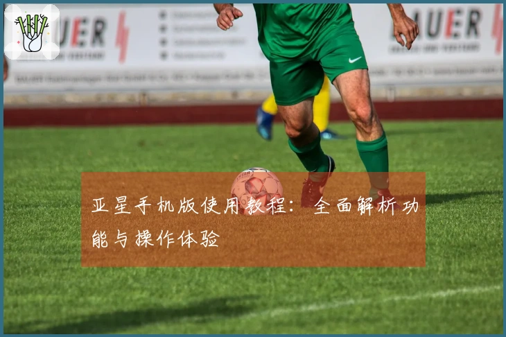 亚星手机版使用教程：全面解析功能与操作体验